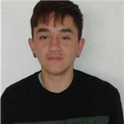 Doy clases de apoyo en historia para colegio etc